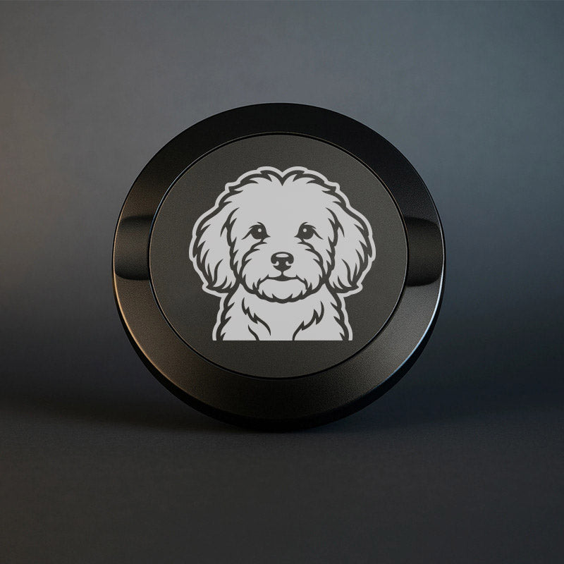Mattsvart metall snusdosa med detaljerad lasergravyr av en söt Maltipoo med fluffig lockig päls. Premium snusdosa med hundmotiv på mörk bakgrund.